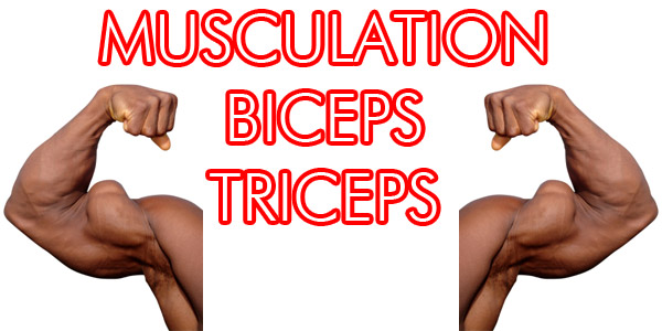 Exercice musculation « musculation9
